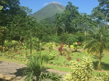 Others 4, Hotel Volcan Verde, San Carlos