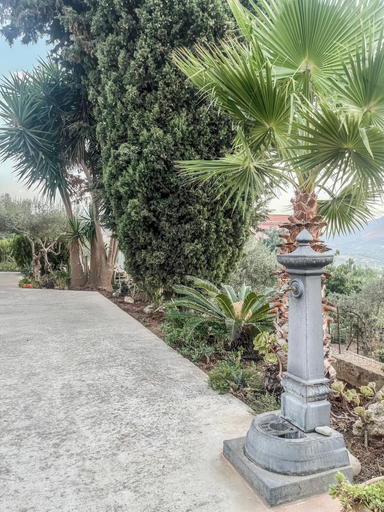 Others 5, Loft Cycas, Palermo