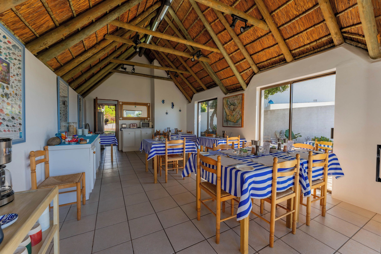 Food & Drinks 5, Cycads On Sea, Cacadu