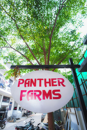 Others 4, Panther Farm Patrakar, Jaipur