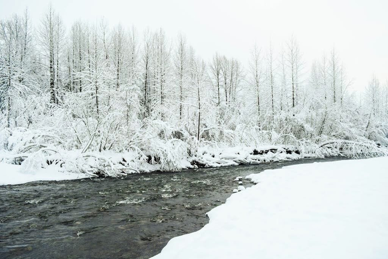 Others 4, Quiet Girdwood Chalet Pointed Toward Turnagain Arm, Anchorage