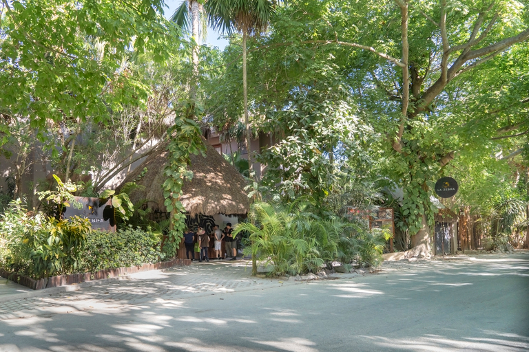 Public Area, La Zebra Hotel, Cozumel