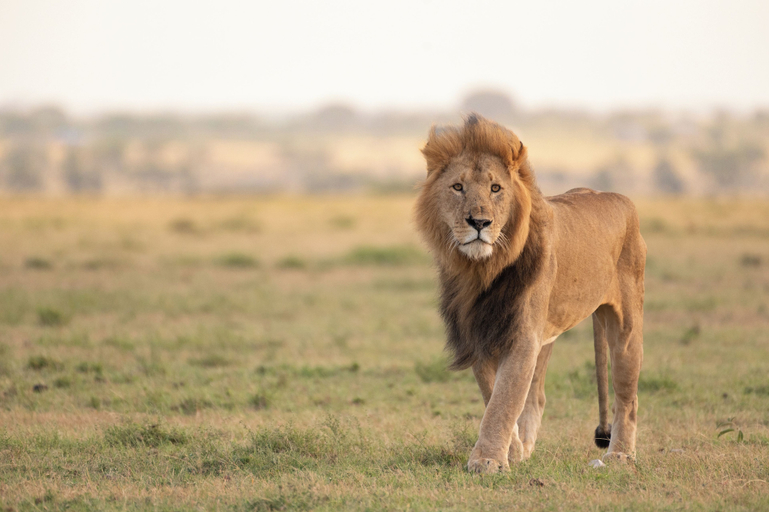 Others 5, Hemingways River Camp Mara, Narok West