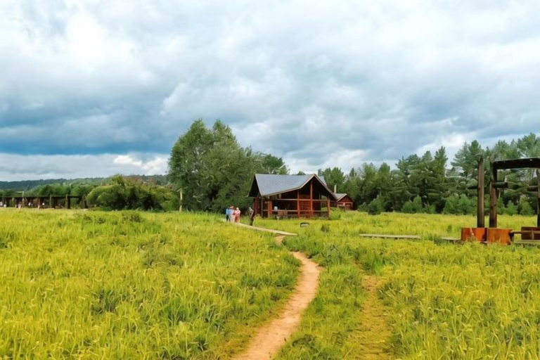 Others 4, Dayong Travel Home (Erguna Shiweizhen Linjiang Branch), Hulunbuir
