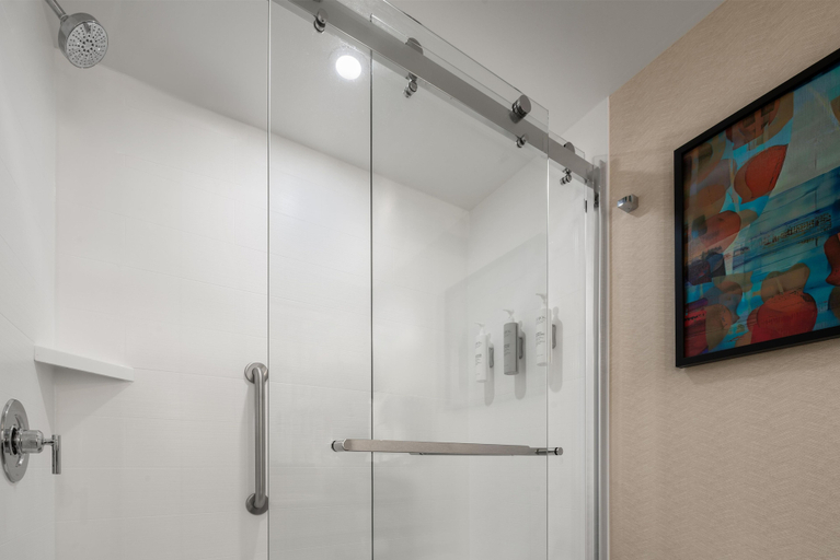 Bathroom 4, Hilton Garden Inn Rock Hill, York