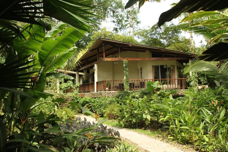 Others 4, Heliconia Island, Sarapiquí