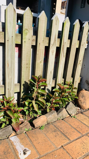 Others 4, Welcome Home! Home Away From Home!, eThekwini