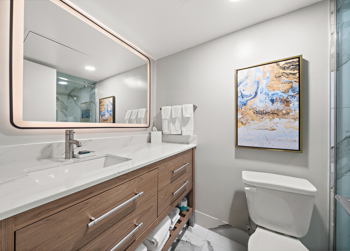 Bathroom 5, Hilton College Station & Conference Center, Brazos