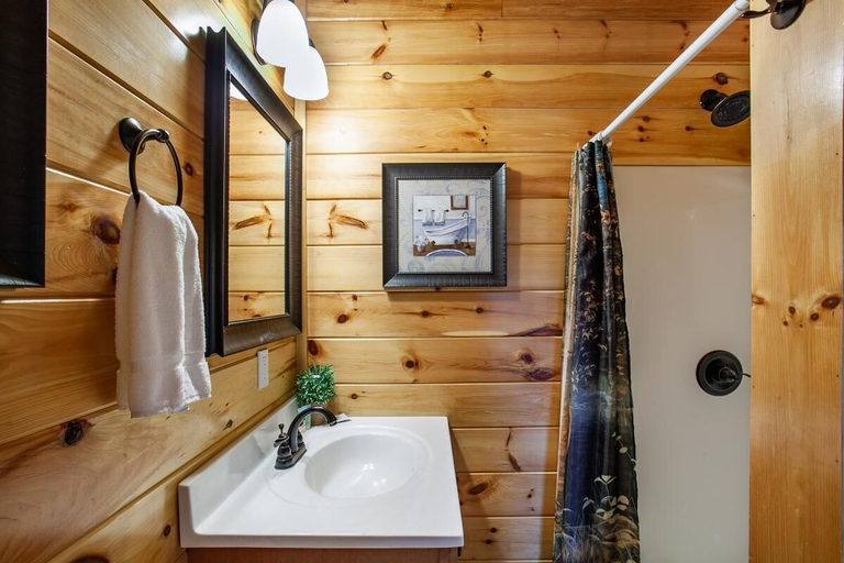 Bathroom 4, Poolin' Around, Sevier