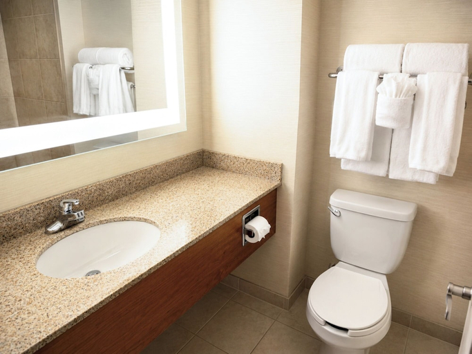 Bathroom 5, Deerfoot Inn & Casino, Division No. 6