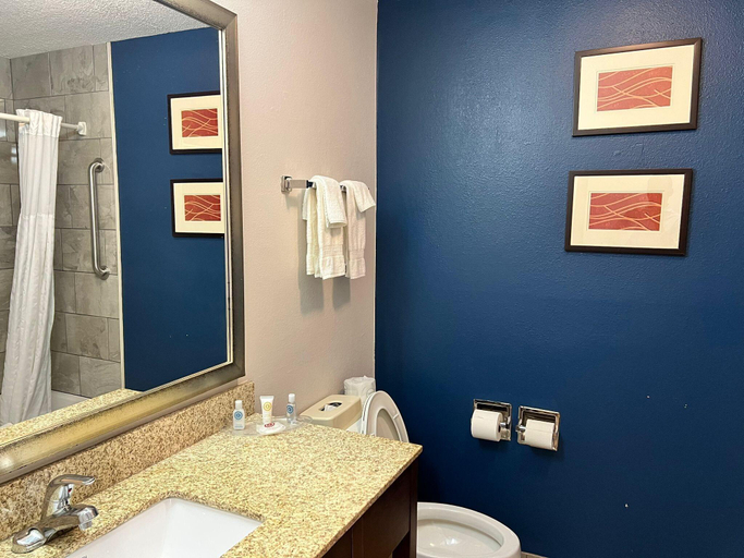 Bathroom 4, Comfort Suites East Louisville, Jefferson