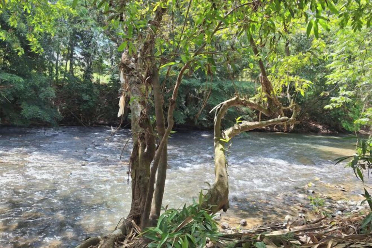 Others 5, Sky River Resort Betong, Batong