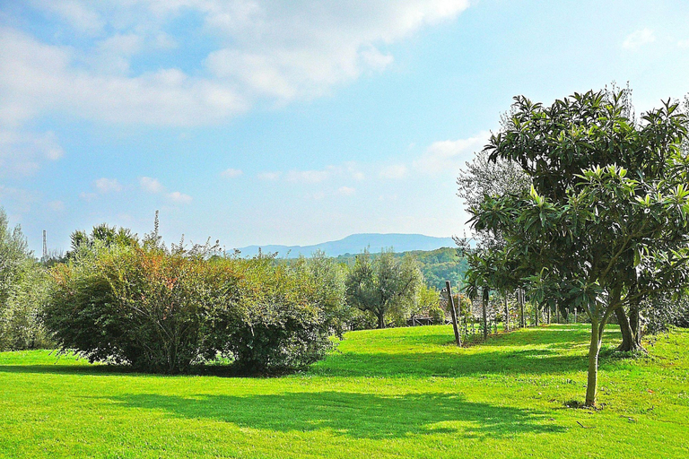 Others 5, Montecasciano Ginestra, Viterbo