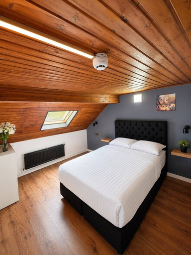 Bedroom 3, Hotel Albergo, Bruxelles