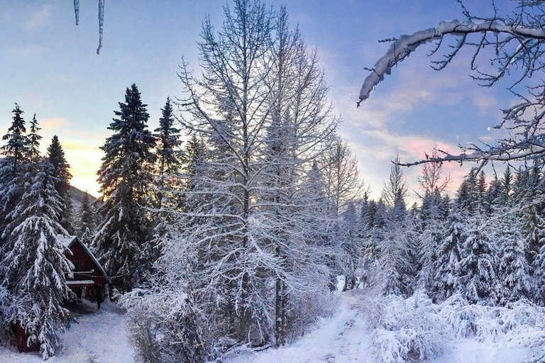Others 5, Quiet Girdwood Chalet Pointed Toward Turnagain Arm, Anchorage