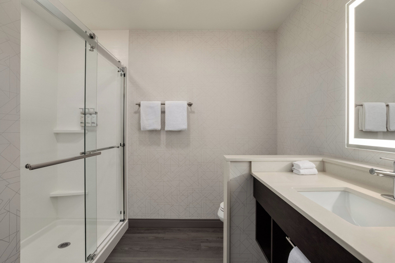 Bathroom 4, Holiday Inn Express HOUSTON DOWNTOWN by IHG, Houston