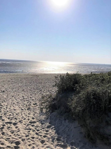 Others 4, House No. 23, Holiday Home Deichgraf, Friesland