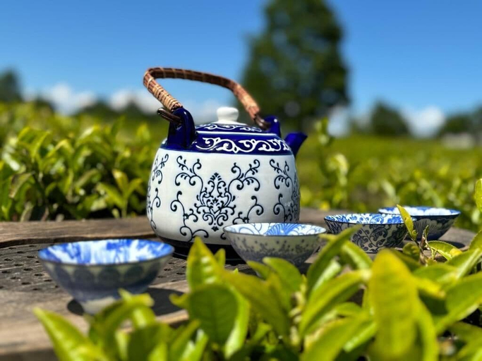 Others 2, Tea Gezruli, Chiatura