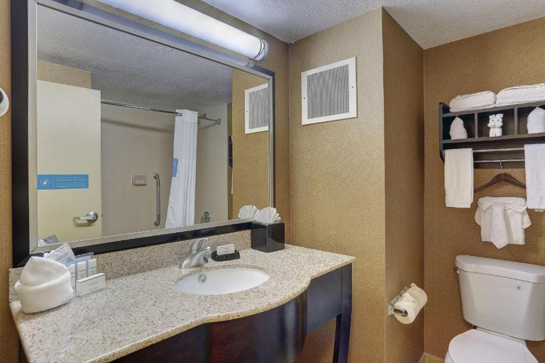 Bathroom 4, The Antioch Inn, Davidson