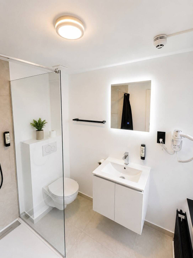 Bathroom 5, Hotel Albergo, Bruxelles
