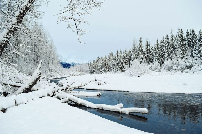 Others 3, Quiet Girdwood Chalet Pointed Toward Turnagain Arm, Anchorage