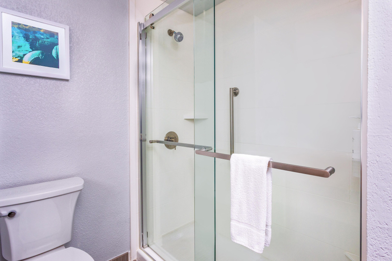 Bathroom 4, Hampton Inn & Suites Port St. Lucie, West, Saint Lucie
