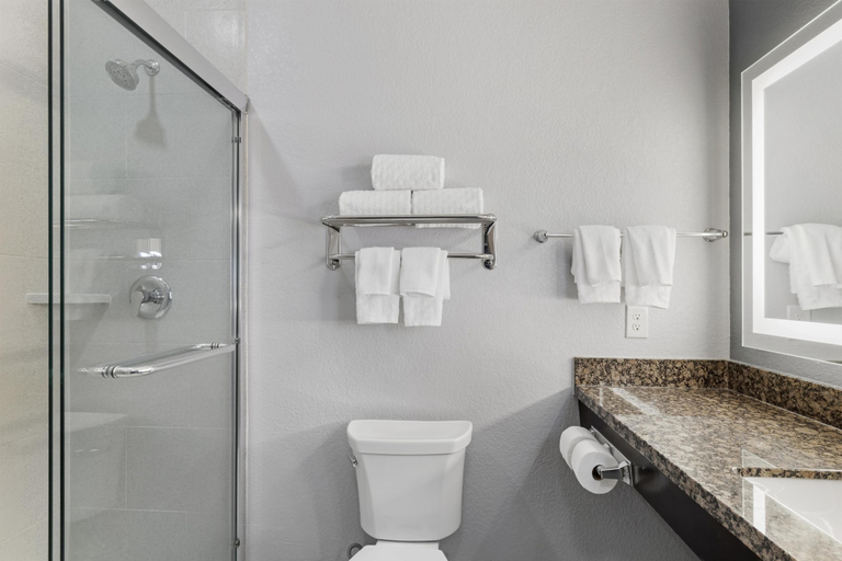 Bathroom 4, Best Western Plus Lake Jackson Inn & Suites, Brazoria