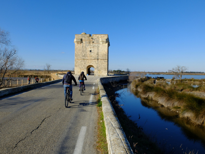 Others 3, Le Palmier Aigues-Mortes Petite Camargue, Gard