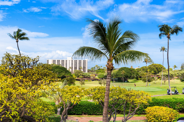 Others 3, Studio Spacious Lanai, AC, Kitchen & Exclusive Beach Cabana - Maui Eldorado K210, Maui