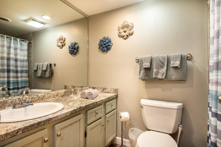 Bathroom 5, Hiker's Hideaway, Sevier