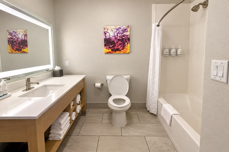 Bathroom 4, La Quinta Inn & Suites by Wyndham Augusta/Fort Eisenhower, Columbia