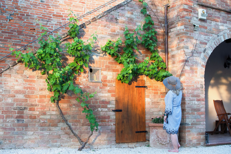 Others 5, Podere Tre Berte - The Sleeping Beauty, Siena