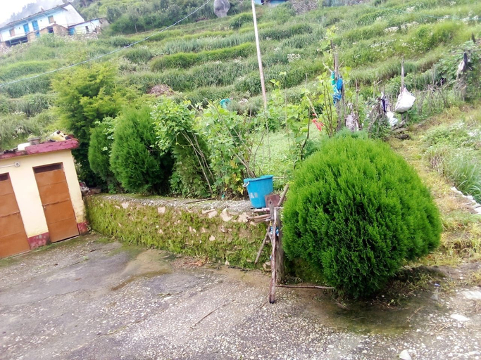 Others 4, Ukali Village Stay I 2 Km Forest Walk I, Tehri Garhwal