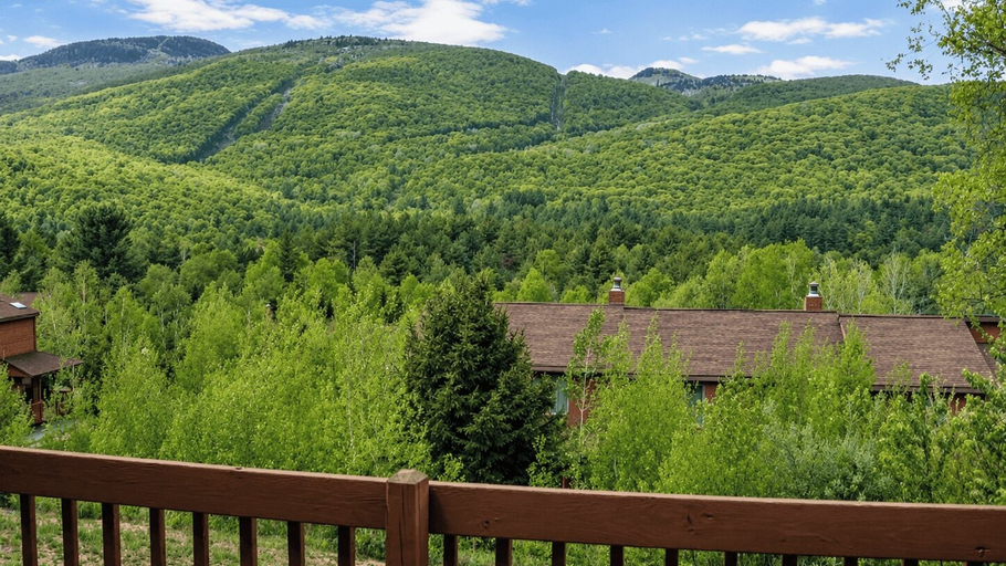 Others 4, Open Pit by Avantstay Indoor Heated Pool + Rec Center Near Gore + Hudson, Warren