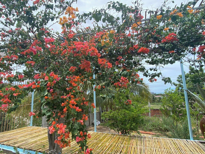 Others 5, Chanh's House, Phan Rang-Tháp Chàm
