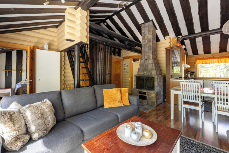 Others 4, Villa Succa, Lapland