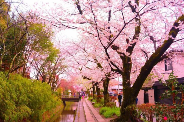 Others 3, Miyu・Reitsuki/Japanese Style Villa/Max 6ppl, Osaka