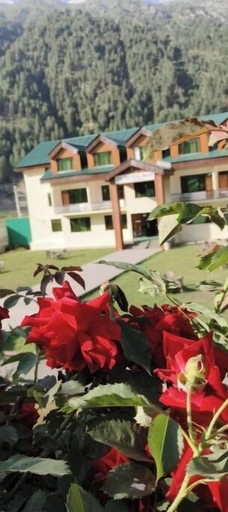 Others 4, The Vista, Ganderbal