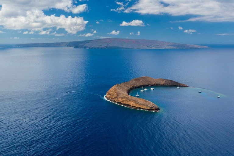 Others 3, Upgraded 1BD Oceanfront Villa w AC Pool - Kapalua Bay Villa 23b1, Maui
