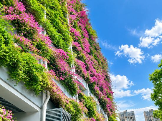 Others 3, He'an Garden Hotel, Beihai