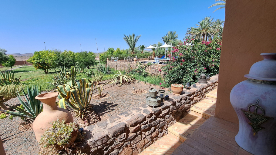 Others 4, Les palmiers d'anis, Ouarzazate