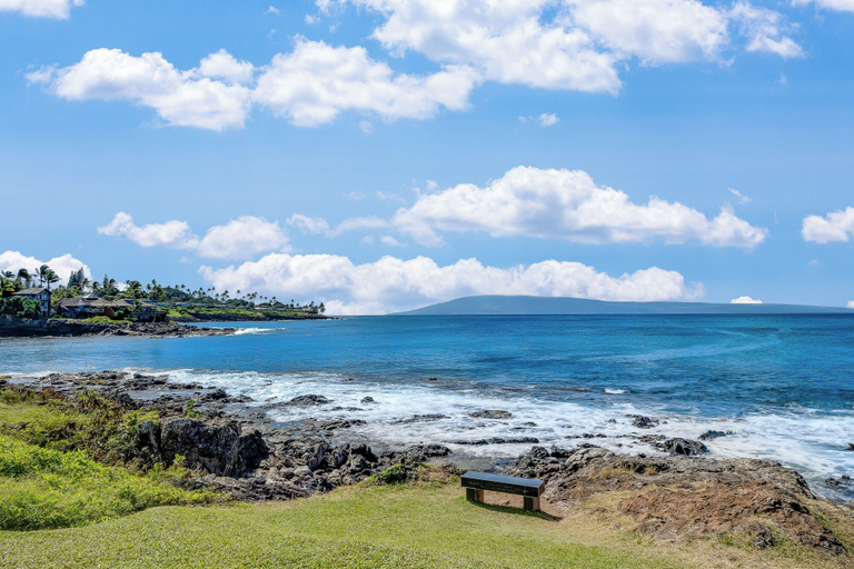 Others 3, Napili Point A8 Oceanfront 1BD Condo w Superb Ocean Views AC Pool, Maui