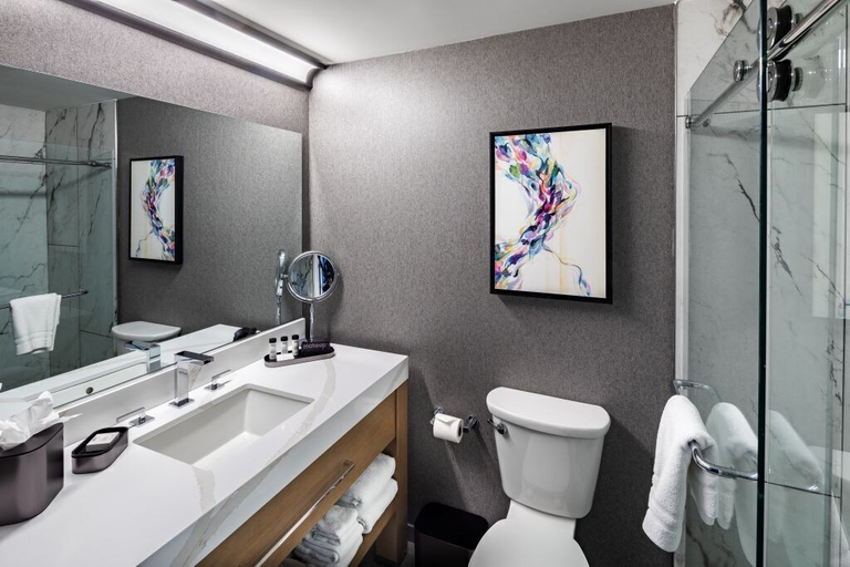 Bathroom 3, Prairie Meadows Hotel, Polk