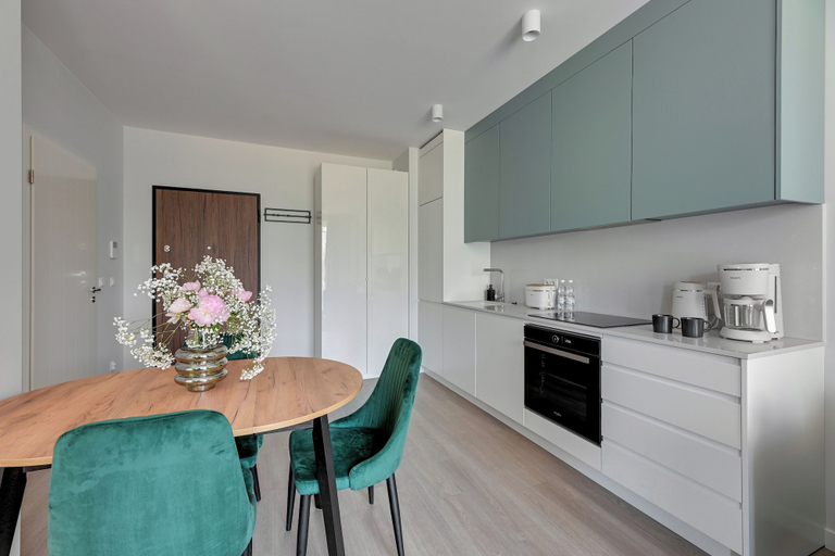 Others 2, Scala Suites H with Parking, Gdańsk City