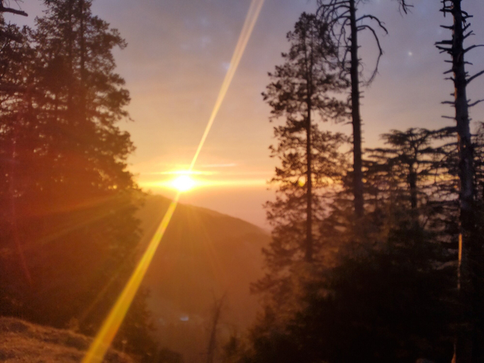 Others 3, US RESORT, Palamu