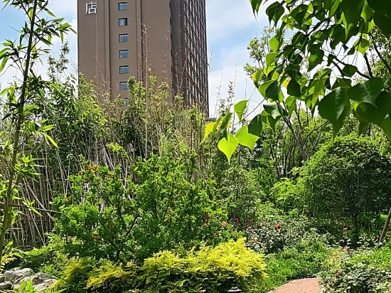 Others 5, Moshang Qingju Hotel (Shenqiu  North Station . LongdingGuomao Branch), Zhoukou