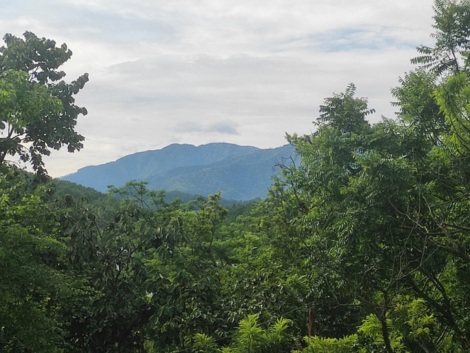 Others 5, Enchanting Mountain Stays, Dehradun