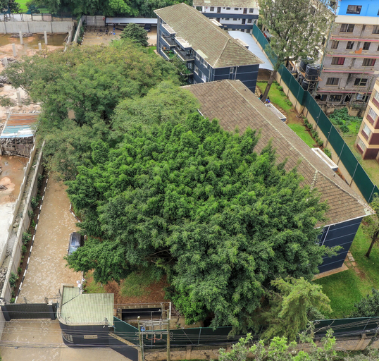 Others 4, Rose Crown Suites, Dagoretti North