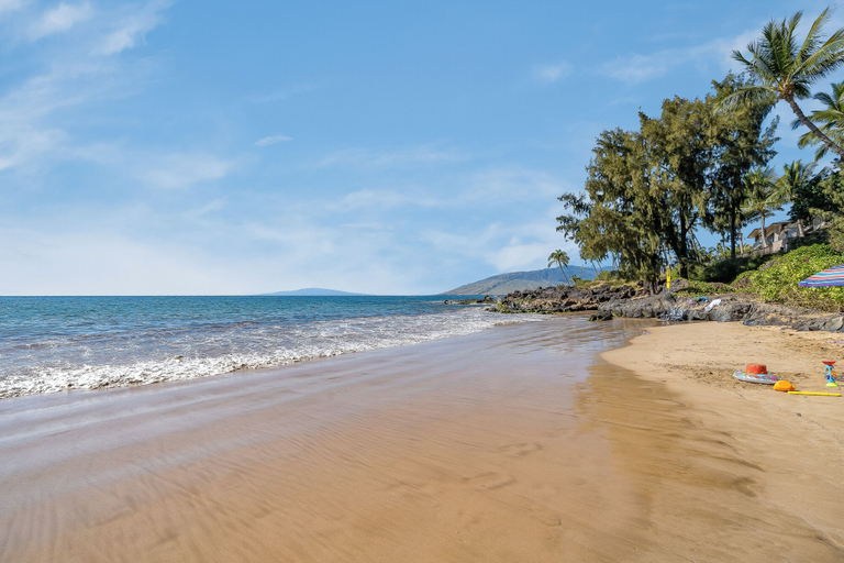 Others 2, Lush 1BD Garden View, Steps From Beach & Pool - Maui Vista 1106, Maui