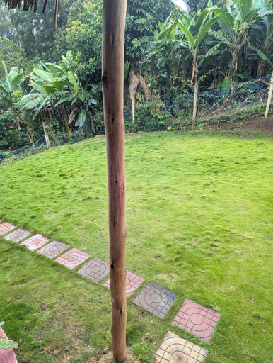 Others 4, Kilimanjaro forest lodge & camping site, Moshi Rural